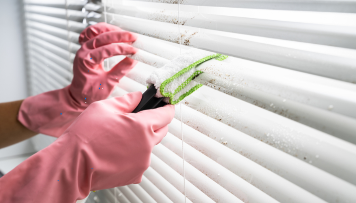 Why Professional Blind Cleaning Hurst Matters for Every Home